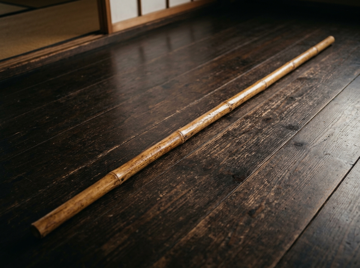 Bâton long en rotin naturel pour Kung Fu et Viet Vo Dao